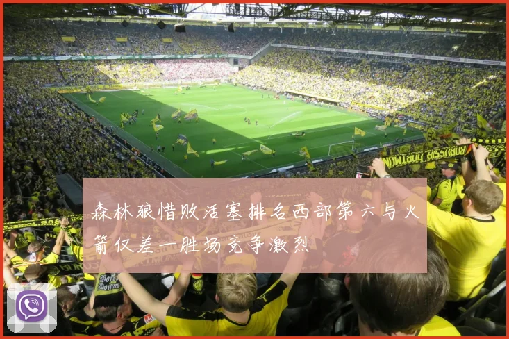 森林狼惜败活塞排名西部第六与火箭仅差一胜场竞争激烈